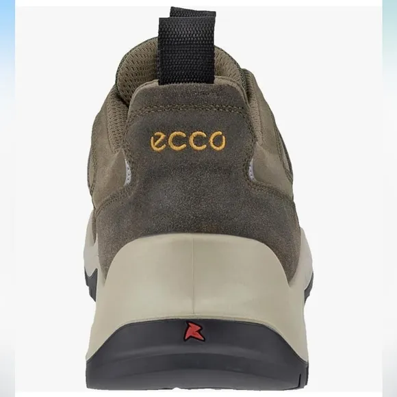 ECCO Men's Hiking Shoes size 10