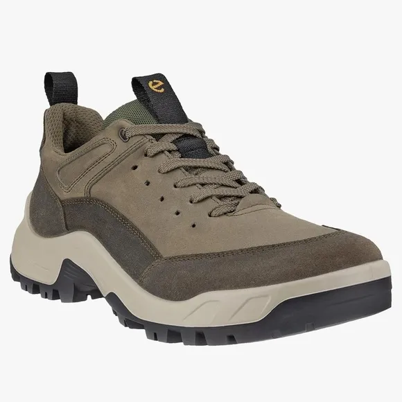 ECCO Men's Hiking Shoes size 10