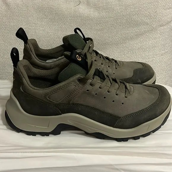 ECCO Men's Hiking Shoes size 10