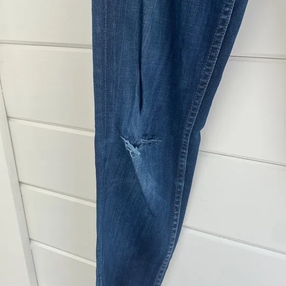 Hudson Jeans | Collin Mid-Rise Skinny Jean | Great Condition