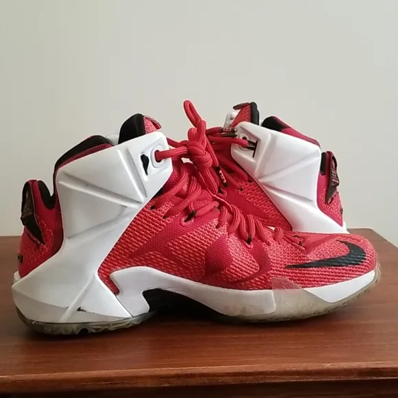 Nike Lebron XII Sz 8