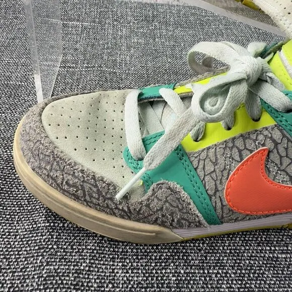 Nike Shoes Womens 6.5 Air Morgan SB Dunk High  Multi-Color Elephant 407479-364