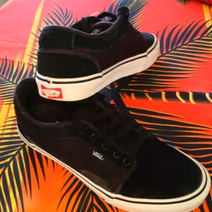 Van's Skateboard Tennis Shoes.          #98