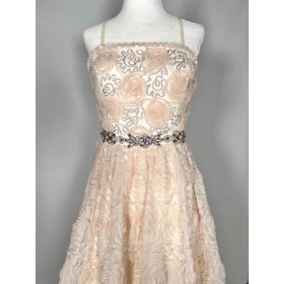 Women's Adrianna Papell Pink Chiffon Floral Appliqué Jewelled Dress Gown Size 4