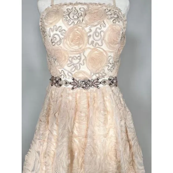 Women's Adrianna Papell Pink Chiffon Floral Appliqué Jewelled Dress Gown Size 4