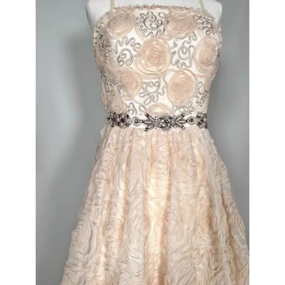 Women's Adrianna Papell Pink Chiffon Floral Appliqué Jewelled Dress Gown Size 4