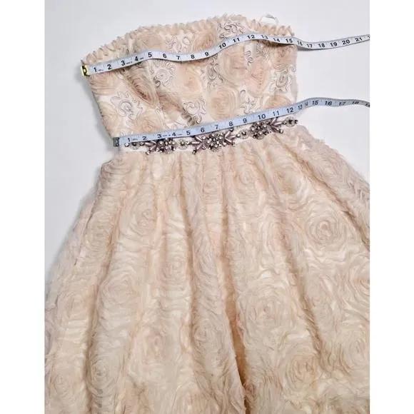 Women's Adrianna Papell Pink Chiffon Floral Appliqué Jewelled Dress Gown Size 4